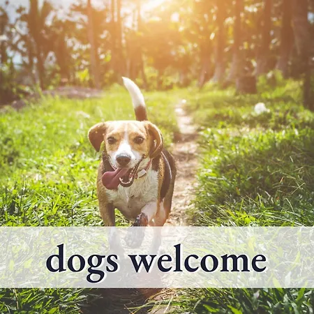 Hallo!-apartments - Ideal Für Geschäftsreisende, Monteure Und Feriengäste * Bad Wörishofen