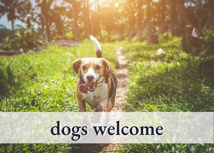 Hallo!-apartments - Ideal Fuer Geschaeftsreisende, Monteure Und Feriengaeste * Bad Worishofen